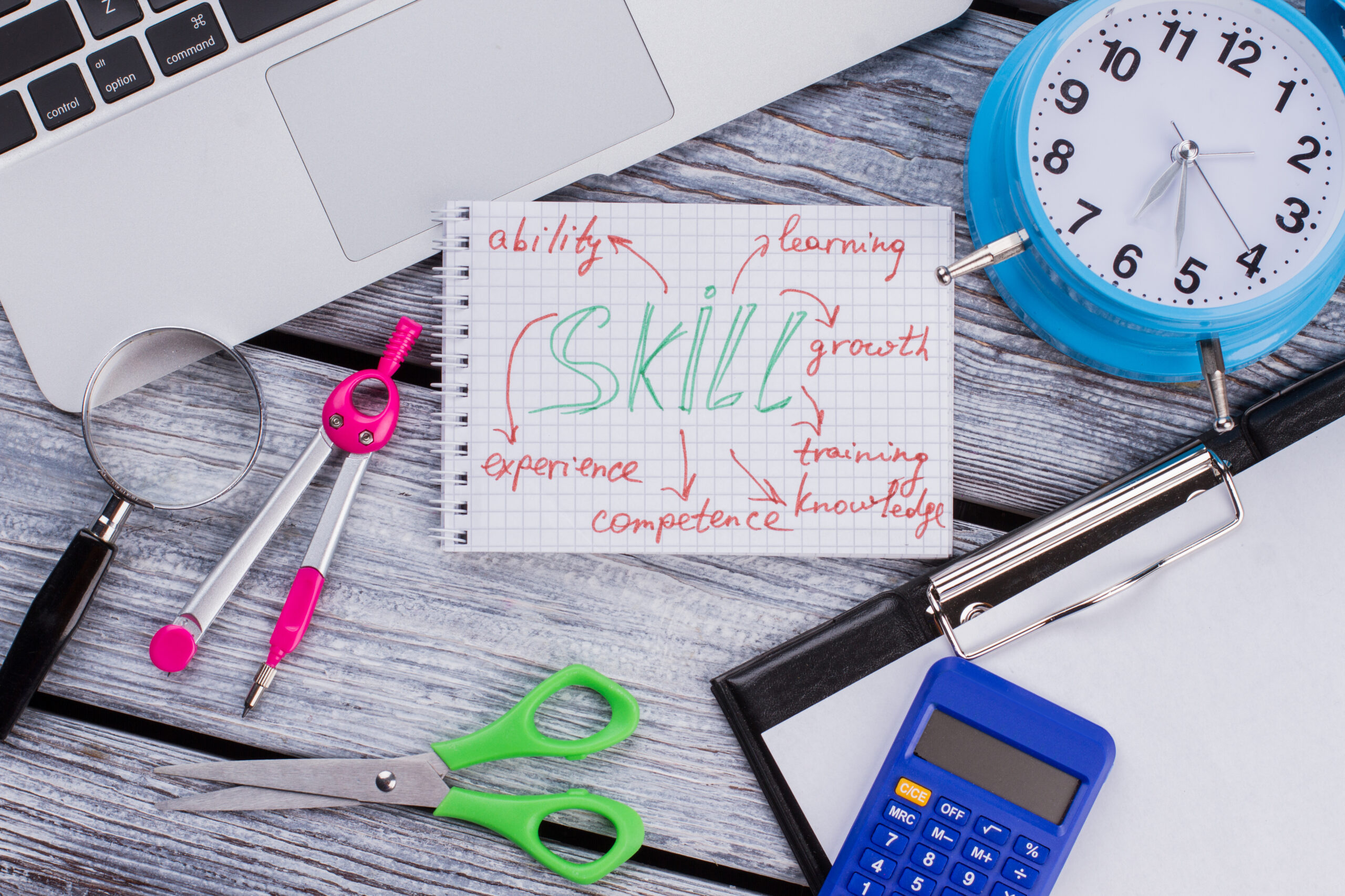 New to the Industry? Focus on Transferable Skills New to the Industry? Focus on Transferable Skills