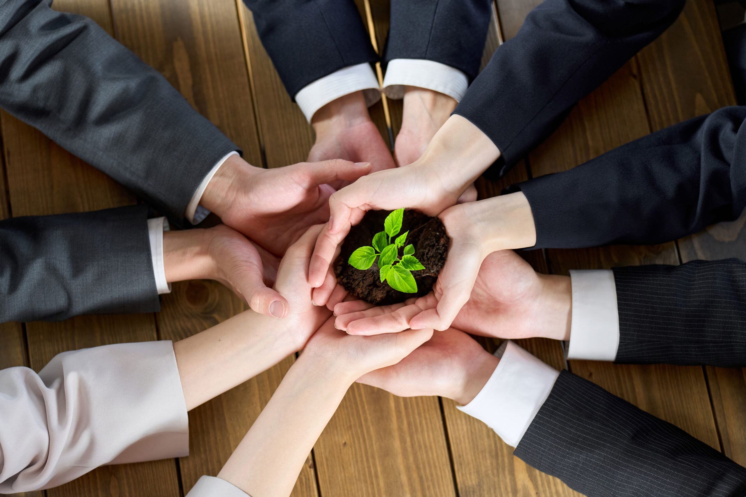 Ongoing Stage: Growth and Contribution