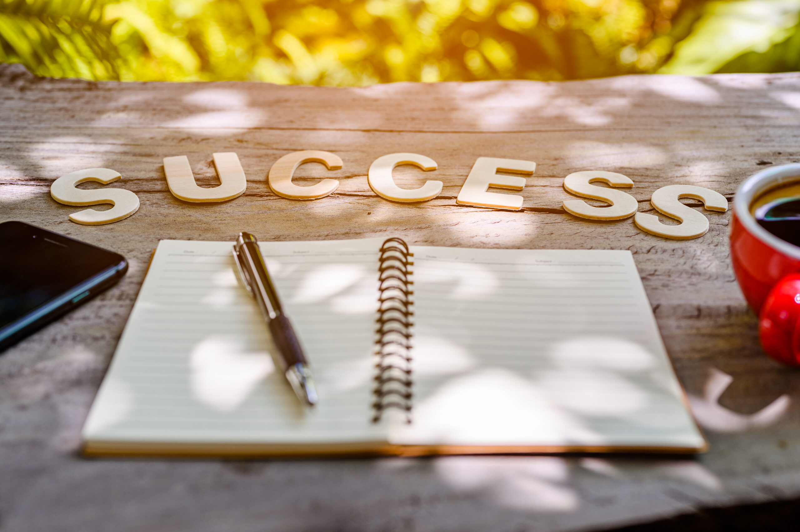 Tips for Success in Your First Months