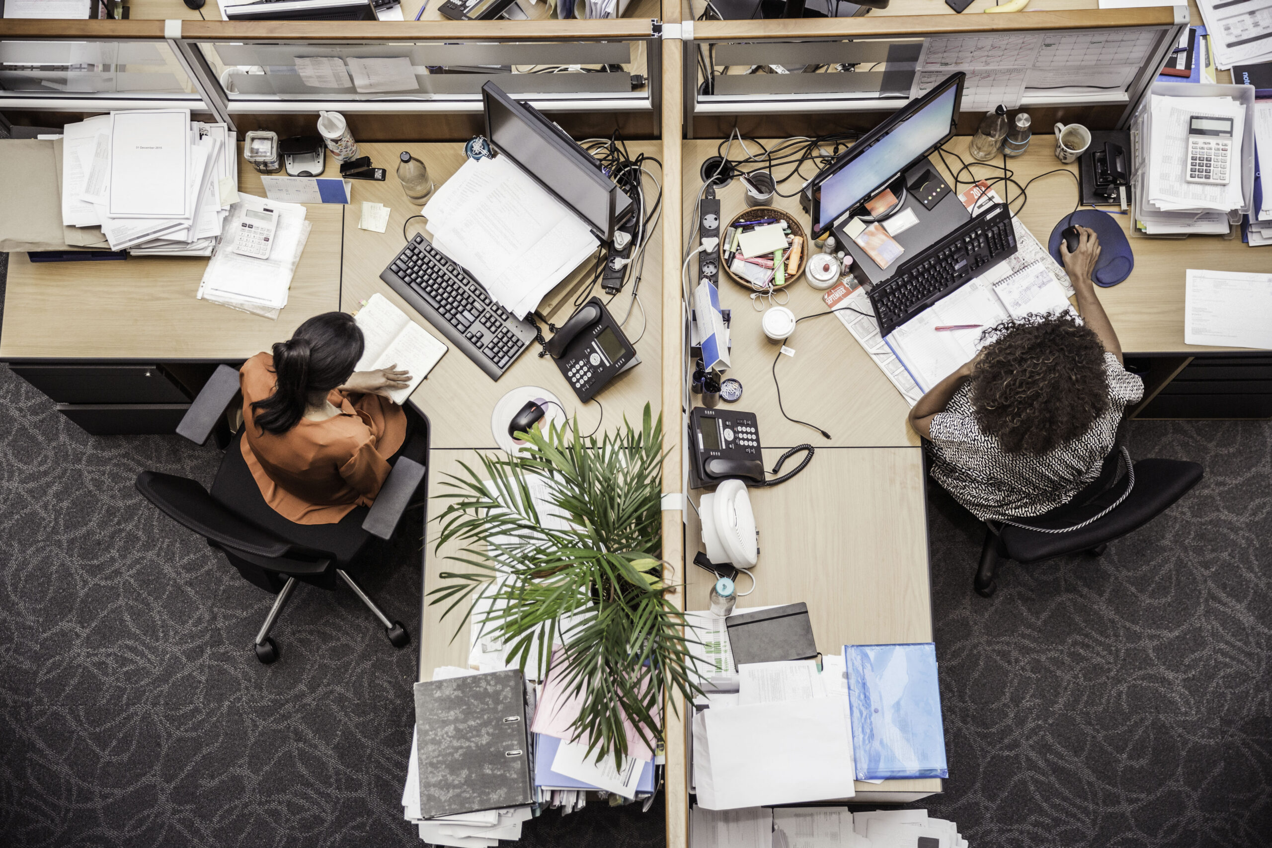From Chaos to Control: Restructuring Your Back Office Operations Offshore
