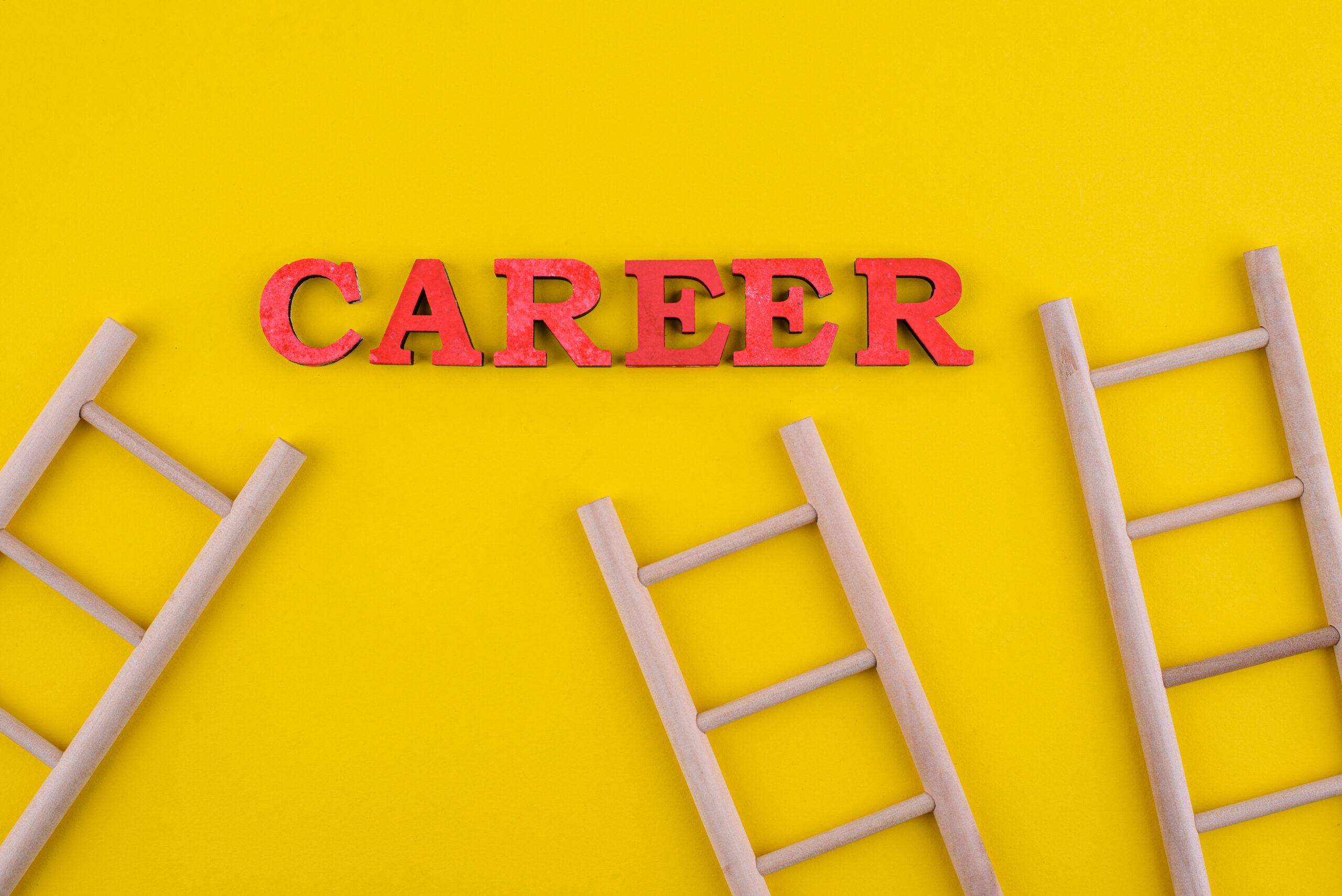 Freelance or Managed Offshore Employment: Which Path Actually Builds Your Career?